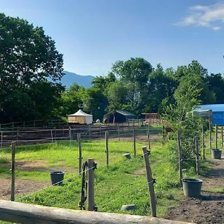 Appartement Residenza Buca 10 By Fewotessin